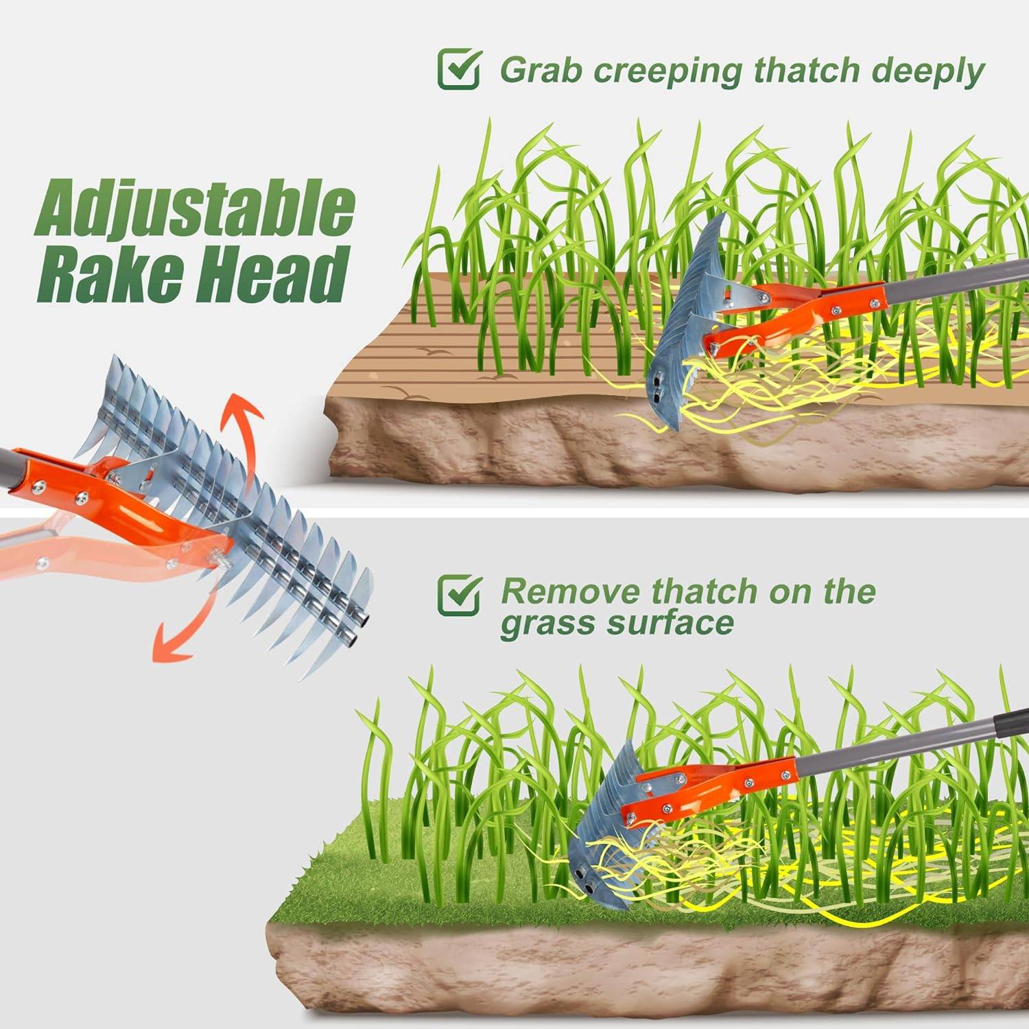 Lawn Thatching Rake: image 4
