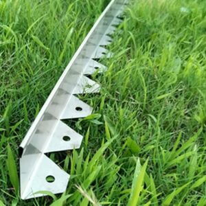 buy lawn edging made of stainless steel